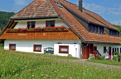 Hennenmatt Apartment | Comfortable Apartment in Rickenbach near Forest