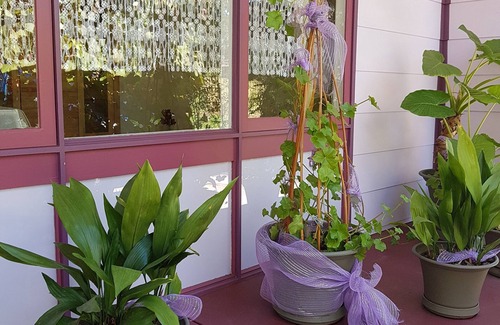 Mount Barker House | Comfortable family/couples/business stay house in a quiet central location.