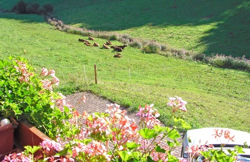 Hofstetten Apartment | Comfortable holiday home in a beautiful location