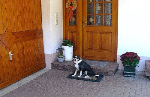 Hofstetten Apartment | Comfortable holiday home in a beautiful location