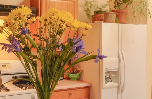Taos House | Comfortable home in historic acequia neighborhood