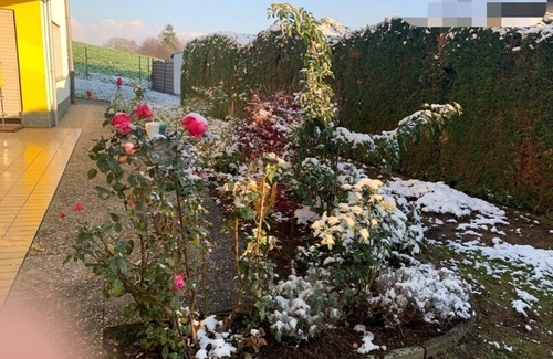 Schaafheim Bed & Breakfast | Comfortable separate room, close to hiking and cycling