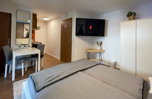 Taesch Apartment | Comfortable Studio Your Home Near Zermatt