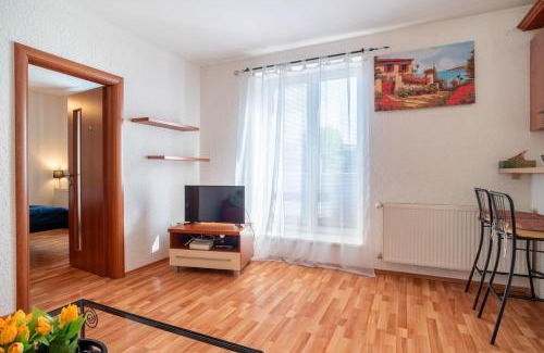 Cierny Balog Apartment | Comfy 1BR Apartment