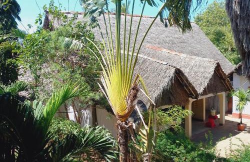 Kilifi Hotel | COMFY DHOWS HOTEL