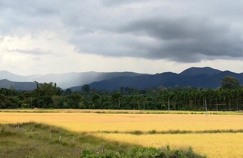 Kaimane House | Comfy Homestay, Coorg, Kodagu