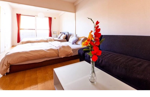 Nakajimakoen Apartment | COMMENCE Use hypochlorous acid when cleaning - 303 / Sapporo Hokkaidō