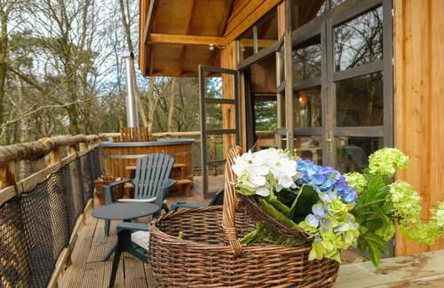 Ruinen Ski Chalet | Compact chalet with terrace
