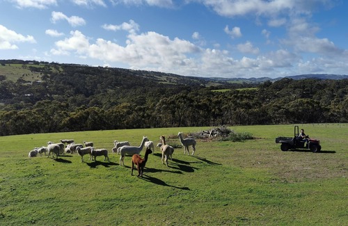 Yankalilla RV Rental | Completely off grid Glamping Domes