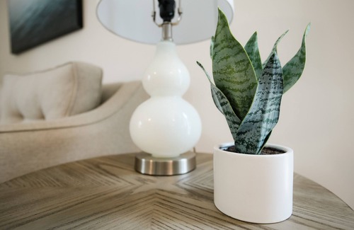 North Carolina Coast House | Completely Renovated, Walkable to Everything