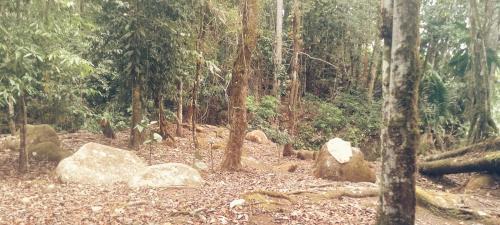 Pastaza Cabin | Comunidad Ecoturistico TUNA ARUTMA JEE