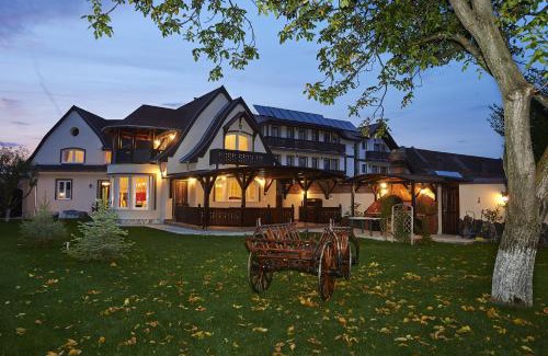 Vladeni Resort | Conacul Ambient