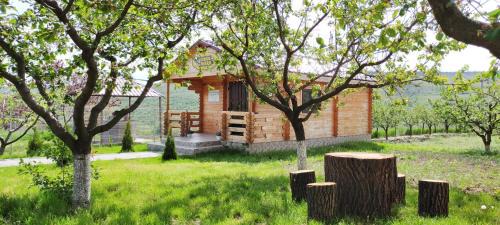 Moldova House | Conacul Mierii