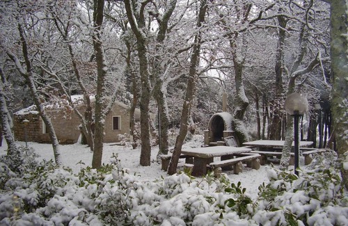 Tempio Pausania Bed & Breakfast | Conca Marina