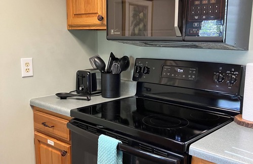 Lake Toxaway Condo | CONDO SITTING ON TOP OF A WATERFALL! MOUNTAIN & WATERFALL VIEW! DOGS WELCOME