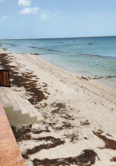 Progreso Municipality Apartment | Condominios Orca