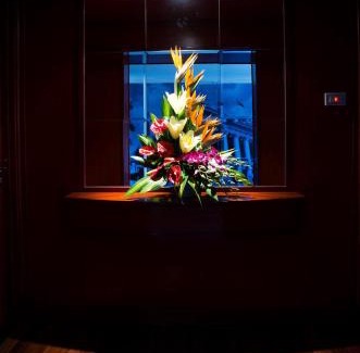 Trang Tien Hotel | Conifer Boutique Hotel