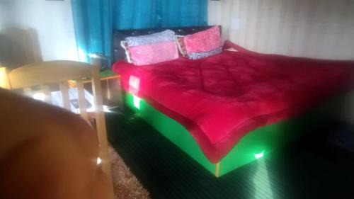 Srinagar House | Conifer view guest house