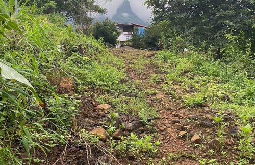 Murbad House | Connected with Nature