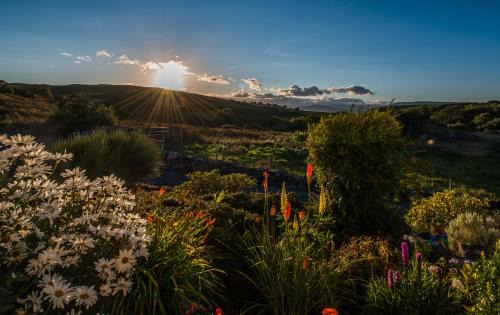 Oughterard Bed & Breakfast | Connemara Haven Bed and Breakfast