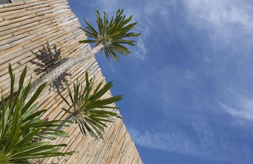 Centro House | Contemporary Elegance in Historic Downtown