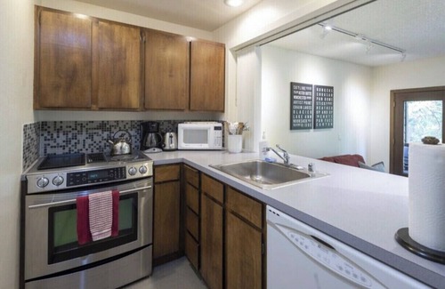 Glacier Condo | Contemporary MT BAKER Condo