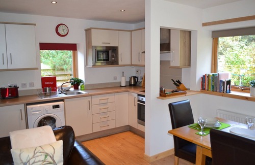 Inverarnie Cabin | Contemporary one bedroom cabin with WiFi