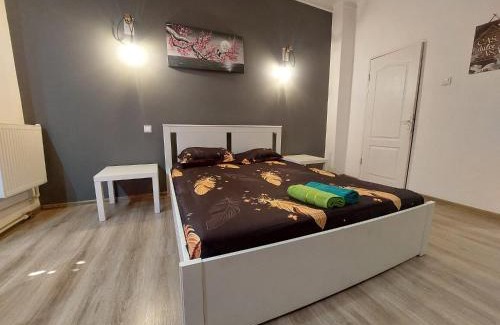Bucharest City-Centre Apartment | continental studio