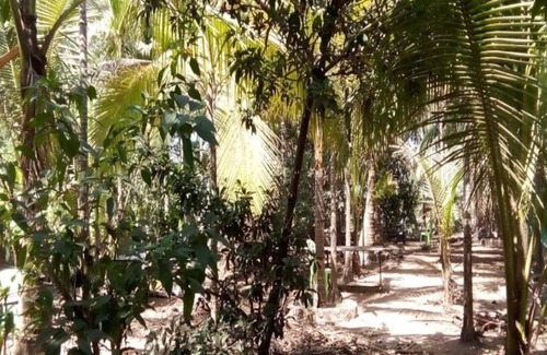 Nagaon Cottage | COOL & PLEASENT STAY IN NATUTRE @ DAKWE COTTAGE WITH DELICIOUS FOOD , NEAR BEACH