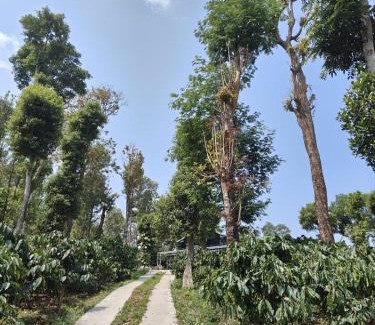 Somvarpet House | Coorg Countryside 1BHK