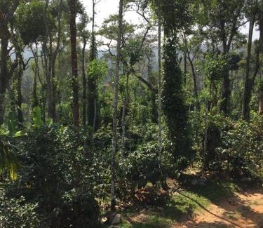 Ontiyangadi House | Coorg -Kunji Phad River View Homestay