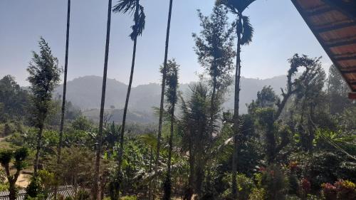 Madikeri House | Coorg Milestone Homestay