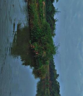 Madapura Apartment | Coorg Riverview Retreat Stay