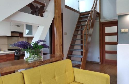 Olsztyn Apartment | Copernicus 10