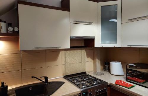 Olsztyn Apartment | Copernicus 10