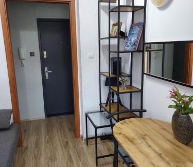 Olsztyn Apartment | Copernicus 11