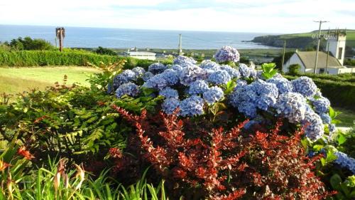 Bunmahon Bed & Breakfast | Copperfield House B & B