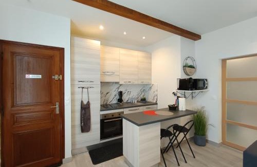 Riou - Petit Juas - Av de Grasse Apartment | Coquet 2 pièces entièrement rénové et climatisé