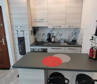 Riou - Petit Juas - Av de Grasse Apartment | Coquet 2 pièces entièrement rénové et climatisé