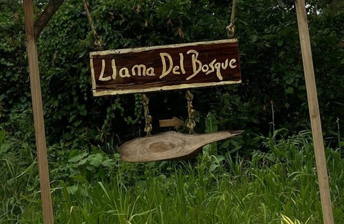 Puerto Viejo de Talamanca House | COQUITA HOUSE
