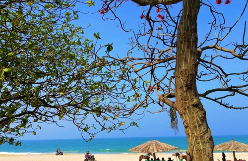 Chaung Thar Hotel | Coral Chaung Tha Beach Hotel