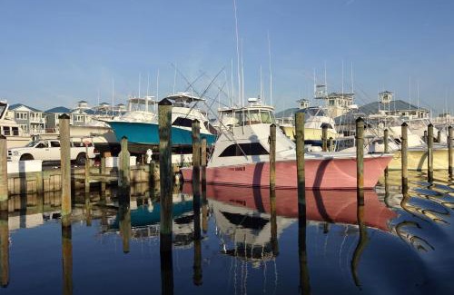 Ocean Pines House | Coral Shells