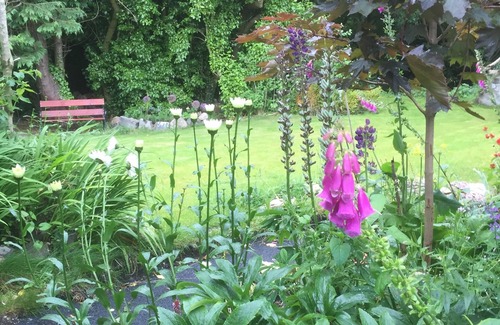 Cairncastle Cottage | Corner Cottage 1 mile from Ballygally and Antrim Coast Rd