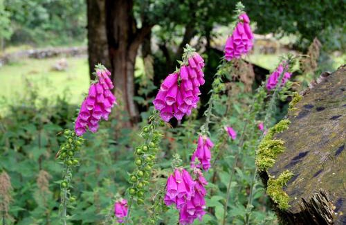 Knockaderry Cross Roads House | Corriebrack cottage