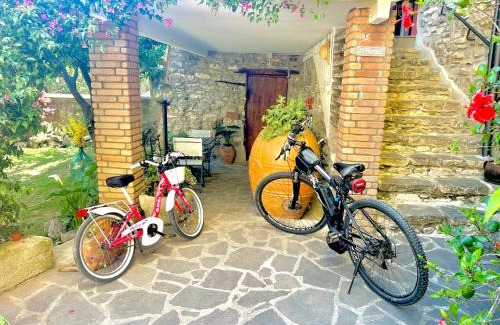 Ascea House | Corte degli Ulivi