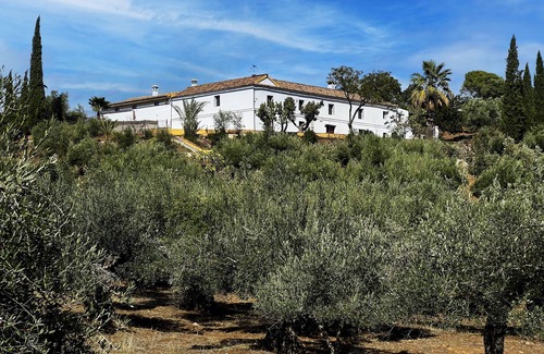 Villaviciosa de Cordoba House | Cortijo Isla Virgen. Un Paraje por Descubrir. Las Mascotas son Bienvenidas