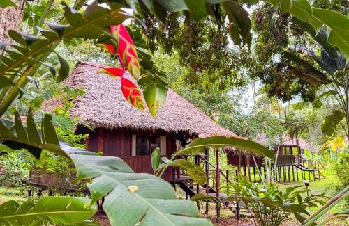 Tambopata Cabin | Corto Maltes Amazonia Lodge