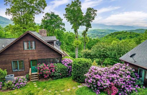 Cosby House | Cosby Contemporary Cabin