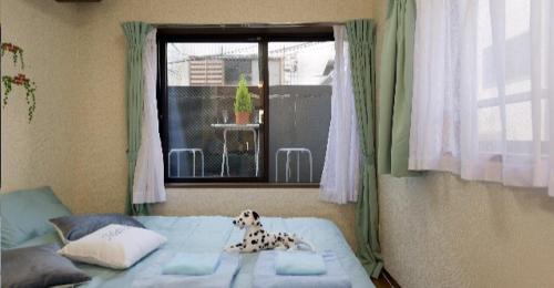 Kamitakaido Apartment | Cosmo Mercy N-1/Vacation STAY 12990