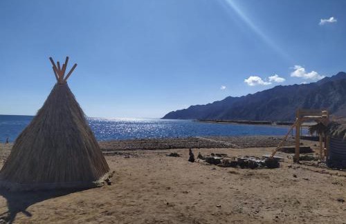 Dahab Other | COSMOS nature Lodge and Spiritual community